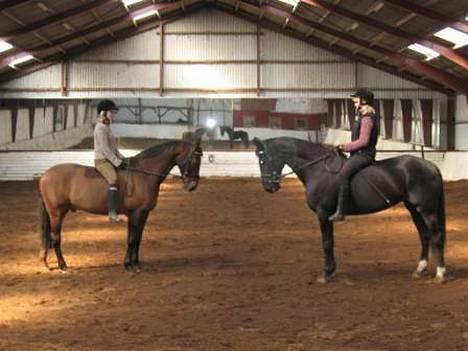 Dansk Varmblod Chivas - mig og min søster:O) billede 14