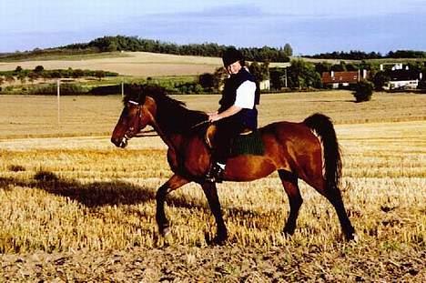 Anden særlig race Rollo † 2004 † - Mig og Rollo tilbage i sensommeren ´99 :) billede 6