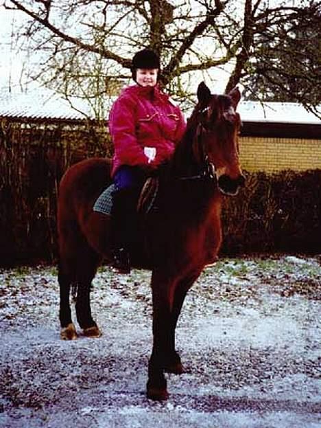 Anden særlig race Rollo † 2004 † - En tur i januar ´01 - min sidste tur inden jeg drog til Island. billede 7