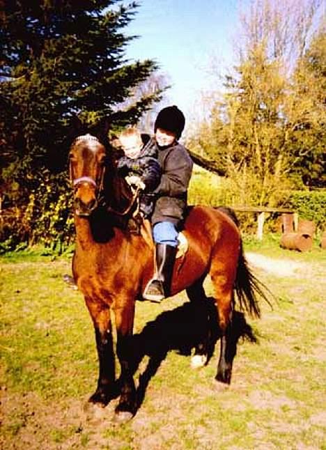 Anden særlig race Rollo † 2004 † - Gammelt billede af mig og min fætter på Rollen :) billede 10