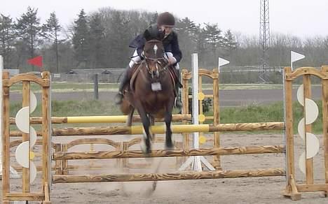 Anden særlig race Jussie *solgt* - en af mine første distrekt stævne i La billede 11