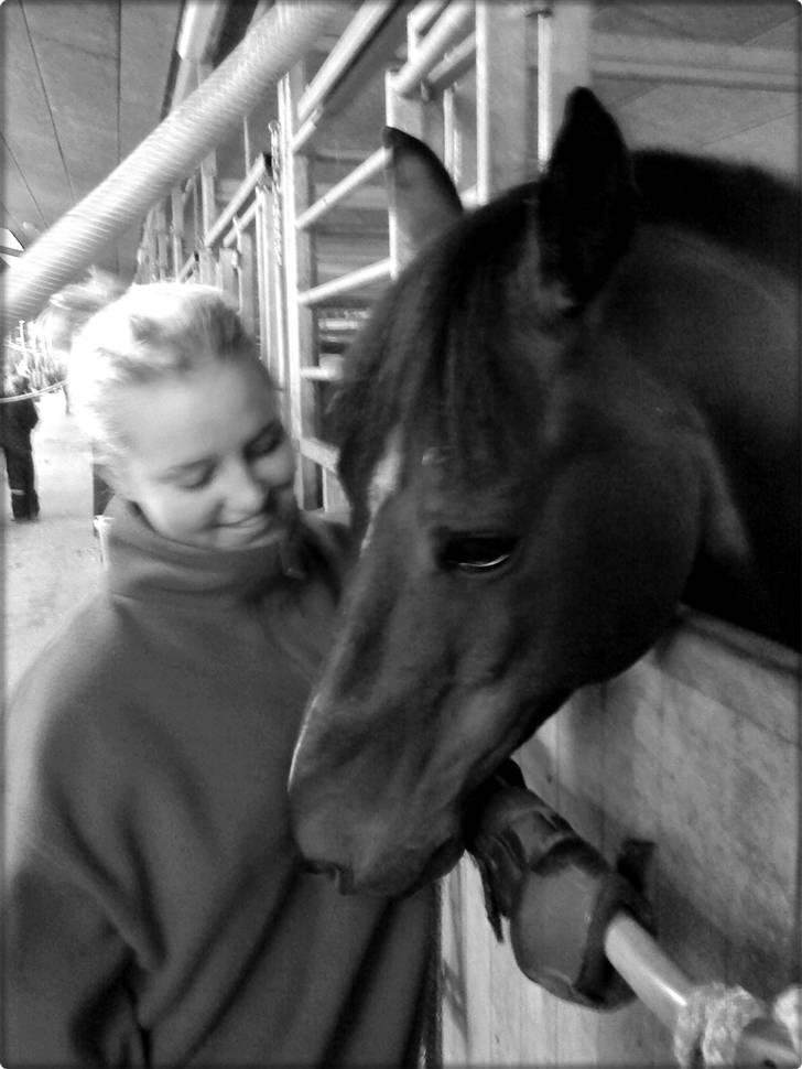 Anden særlig race Jussie *solgt* - Et lille hej til min gamle pony billede 12