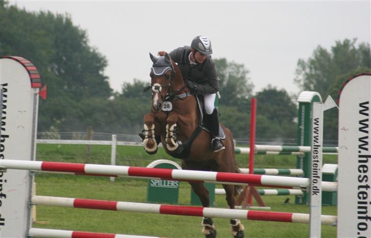 Anden særlig race <3Kashmir Mit et og alt<3 - Kasser og jeg over oxeren i LB´en til Anderups distriktstævne en ærgelig bom i omspringningen ellers var vi blevet 3´er øøvvv. Billedet er taget af Kristina OutZen=) billede 2