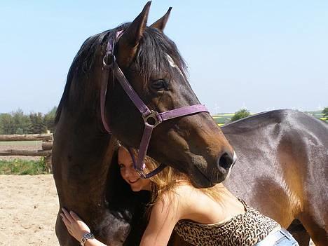 Trakehner Rødhøjs Chopstar - Chopstar foråret 2007 billede 14