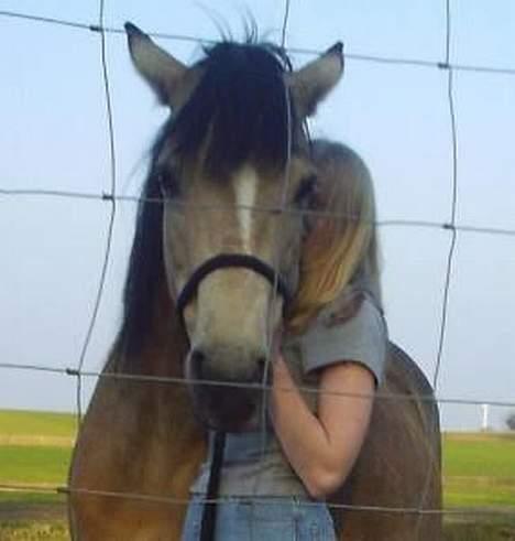 Connemara Mosens Rose Maree billede 7