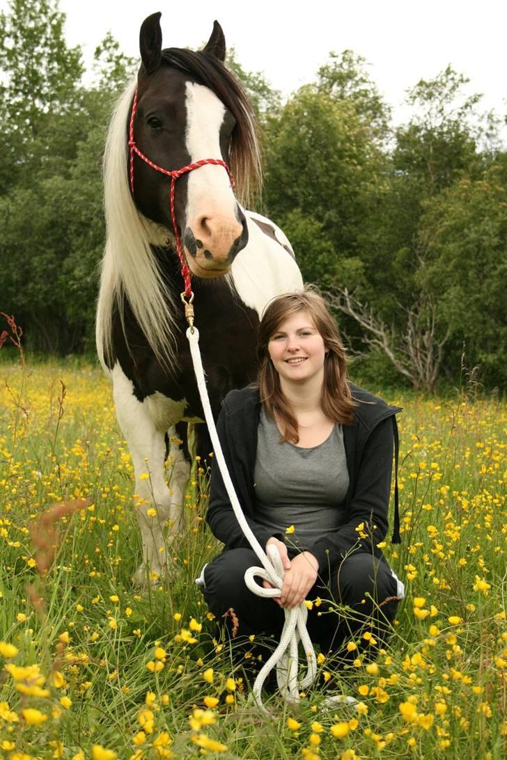 Tinker Seamus billede 18