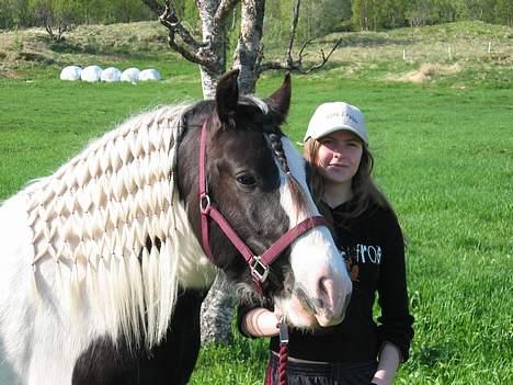 Tinker Seamus billede 20