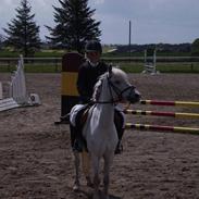 Anden særlig race Oliver