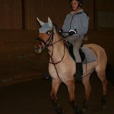 Anden særlig race Kia <3  *Solgt :'/*