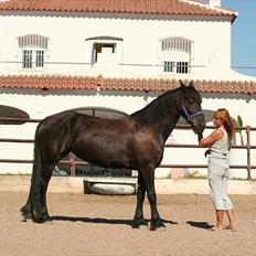 Frieser Nienke Sollenburg