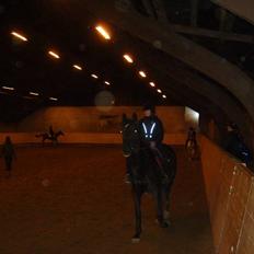 Anden særlig race Madonna