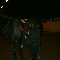 Anden særlig race Madonna