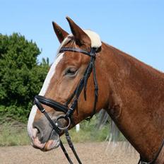 Frederiksborg | Elstedgaards Emilie