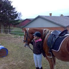 Frederiksborg | Elstedgaards Emilie