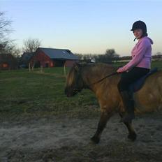 Anden særlig race Mulle ¤halvsøsters¤