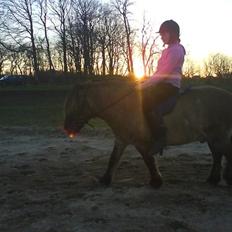 Anden særlig race Mulle ¤halvsøsters¤