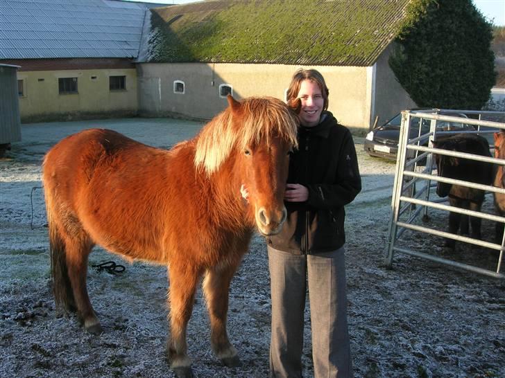 Islænder Dögun fra Stormurgård - Dögun og jeg i Mols Bjerge d. 16. December 2007 billede 8