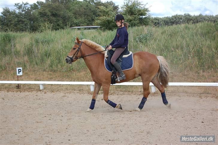 Anden særlig race Andrea <3 - Gl. Part :'/ billede 18