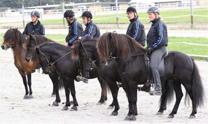 Islænder Hördur Fra Guldbæk - billed fra kåringen, min der nr. 2 fra højre billede 6