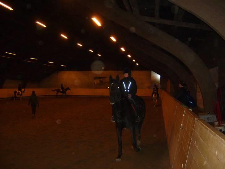 Anden særlig race Madonna billede 2