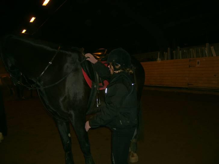 Anden særlig race Madonna billede 3