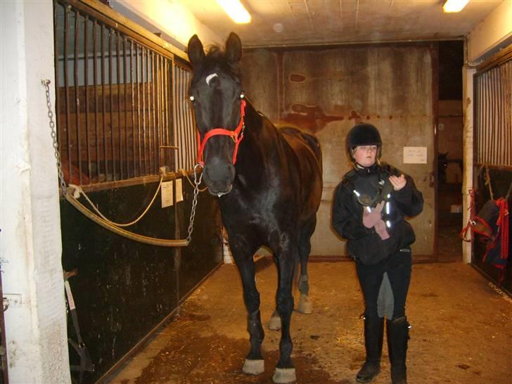 Anden særlig race Madonna billede 4