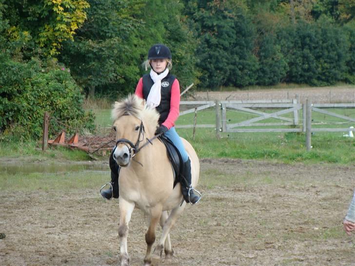 Fjordhest S.F. Mizty Halsnæs *SOLGT - Velkommen Skriv en komentar og ´Gi´ en bedømelse så er du en sakth <3. Mig og Mizty på banen, 2008 billede 1