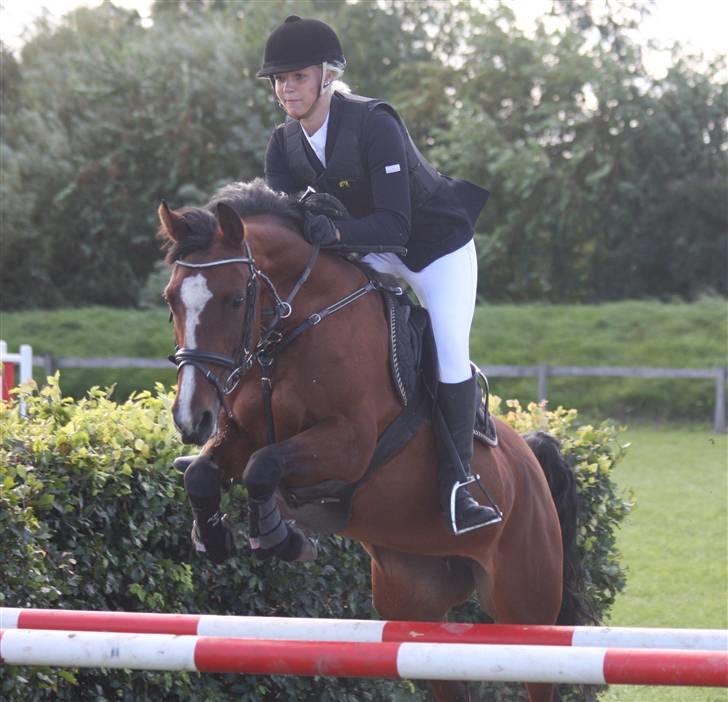 Tysk Sportspony Pauline <3 R.I.P  - fordi du er den der har den aller største plads i mit hjerte i: billede 8