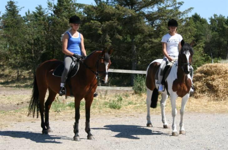 Tysk Sportspony Pauline <3 R.I.P  - Astrid & mig på vej til stranden i Skagen(: billede 10