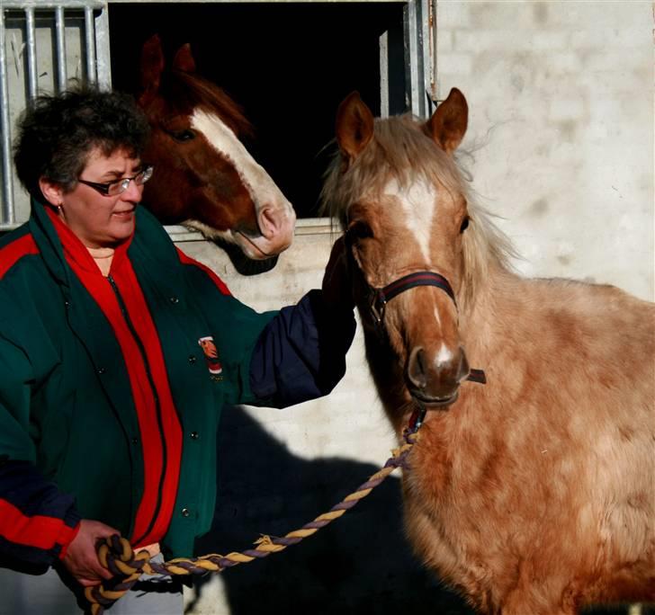 Palomino Rainbow Emily Rose - Min mor og Emily 15. februar 08 billede 31