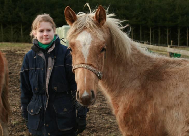 Palomino Rainbow Emily Rose - Janni og Emily, da vi kiggede på hende 3. februar 08 billede 32