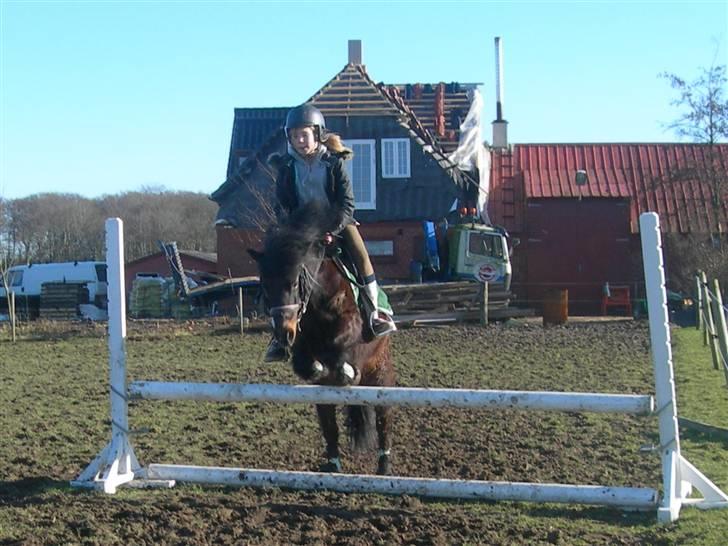 Anden særlig race Bianca <3 - miq & bianca der springer.... <´3 :) ca. 50 cm. billede 11