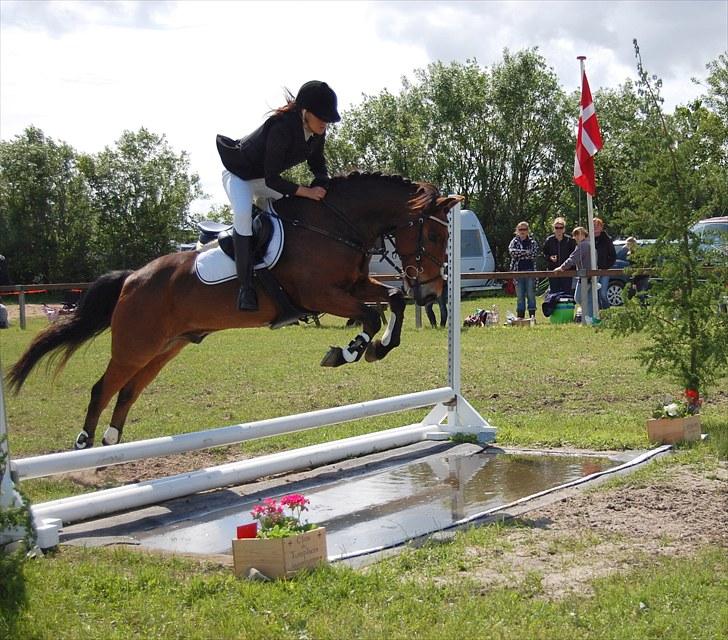 Anden særlig race Cativo - SJM individuel. foto: malene lykke hansen billede 20