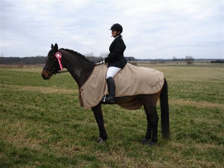 Trakehner Aschianti - En glad heste ejer :-) billede 12