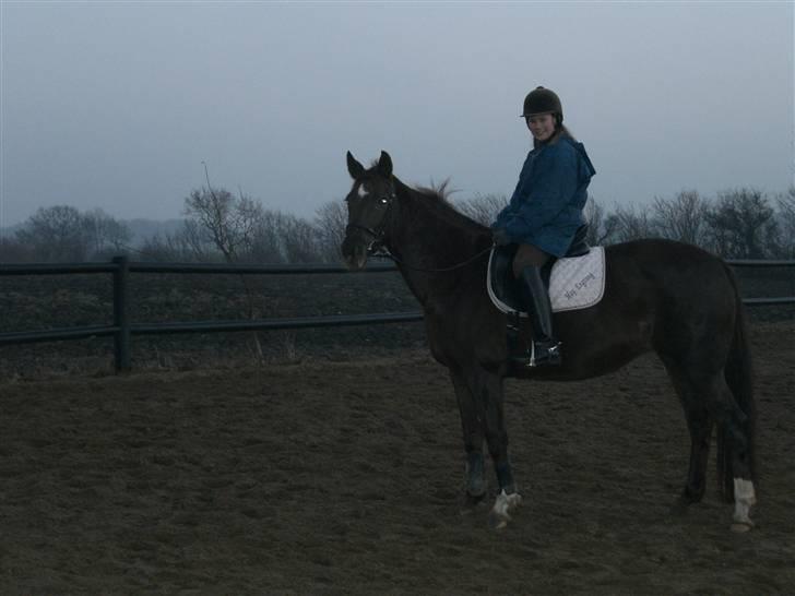 Dansk Varmblod May Engvang - Heej !!!! Her ser du min ejer og smukke mig ! billede 1