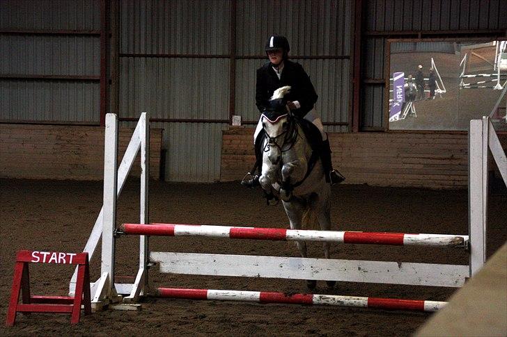 DSP Asgogårds Splint - fjolle pony :D billede 9