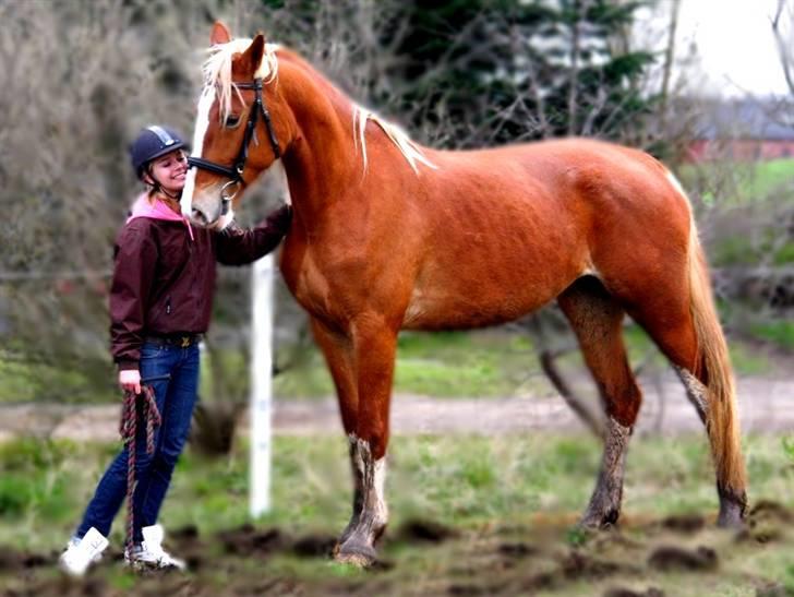 Frederiksborg | Elstedgaards Emilie - At være smuk <3. billede 7