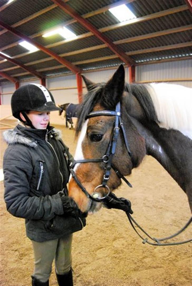 Hollandsk Sportspony Binky (SOLGT TIL FINLAND) - vi er til susan kærgårds  kursus ... og velkommem til min profil ..:-¤ billede 1