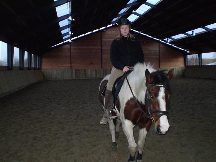 Pinto Kiara *Gammel part* - Lidt Dressur skader aldrig billede 14