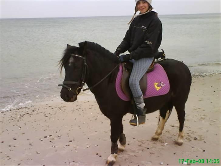 Anden særlig race Tarzan - Nede på stranden :) billede 19