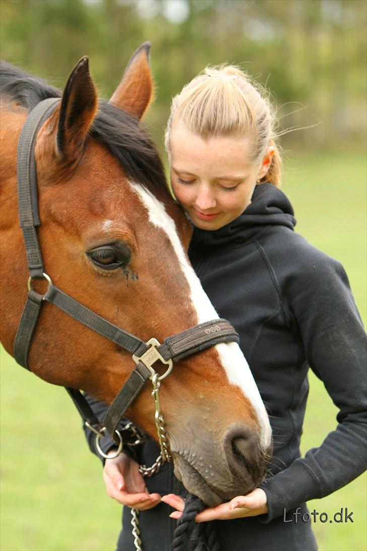 Fransk Halvblod Edimbourg D'aillon - sommer 2010 billede 12