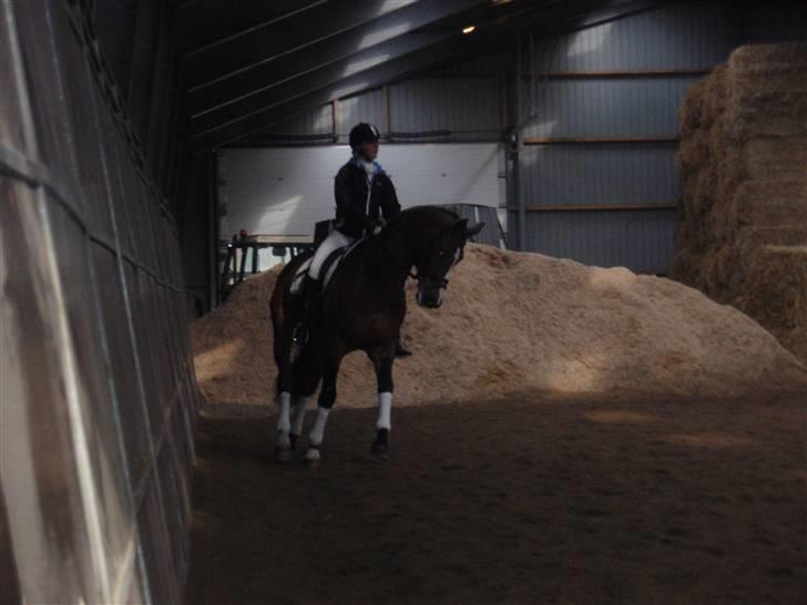 Fransk Halvblod Edimbourg D'aillon - Opvarmning til vores første C-stævne (La1) hvor vi fik en 2. plads :D <3 billede 15