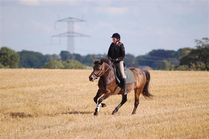 Anden særlig race pyxis billede 18