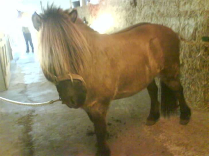 Anden særlig race Mulle ¤halvsøsters¤ - velkommen til Mulle´s profil, smid gerne en bedømmelse eller kommentar :P  billede 1