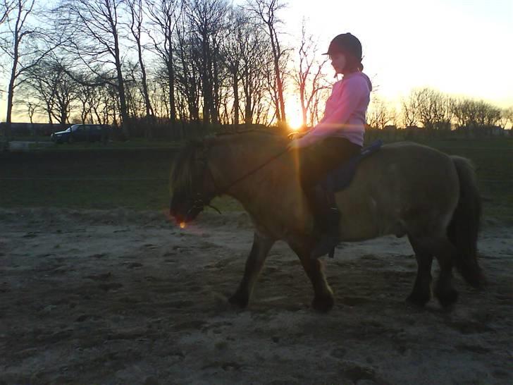 Anden særlig race Mulle ¤halvsøsters¤ - vi rider mod solen <33 ligesom en ægte cowgirl billede 3
