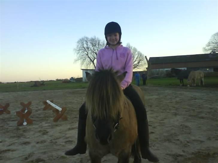 Anden særlig race Mulle ¤halvsøsters¤ billede 6