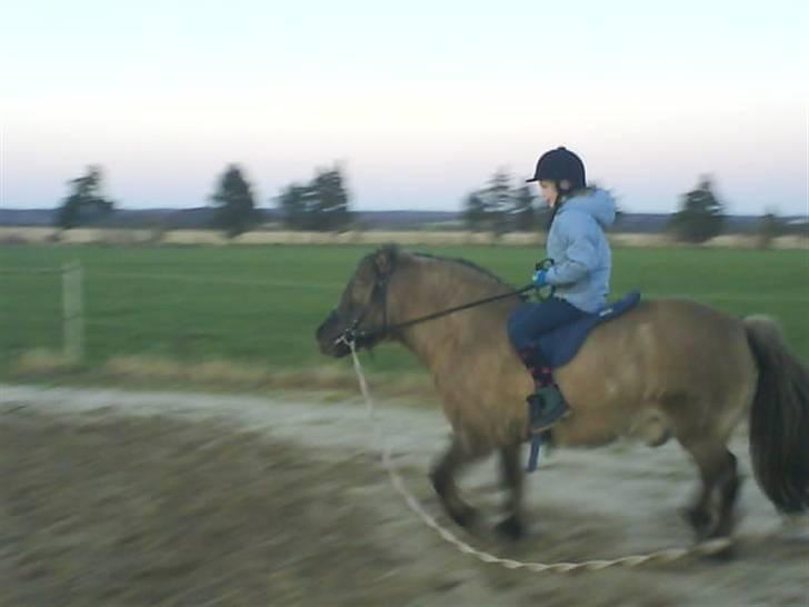 Anden særlig race Mulle ¤halvsøsters¤ - Jeanne Traver på mulle ;) billede 9