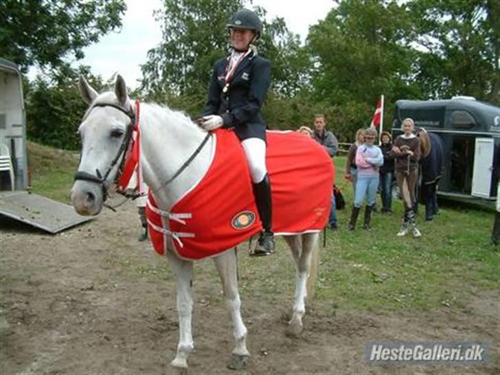 DSP sharon billede 1