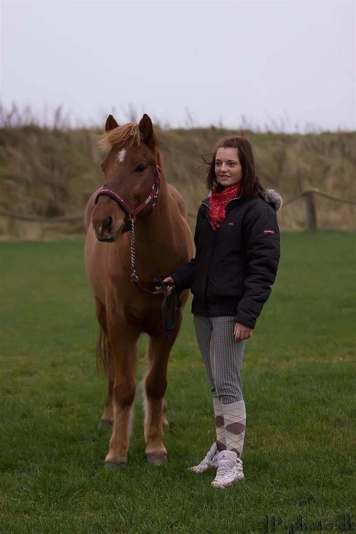 Anden særlig race Vestervangens Asterix - Aste´bassen og jeg (: billede 17