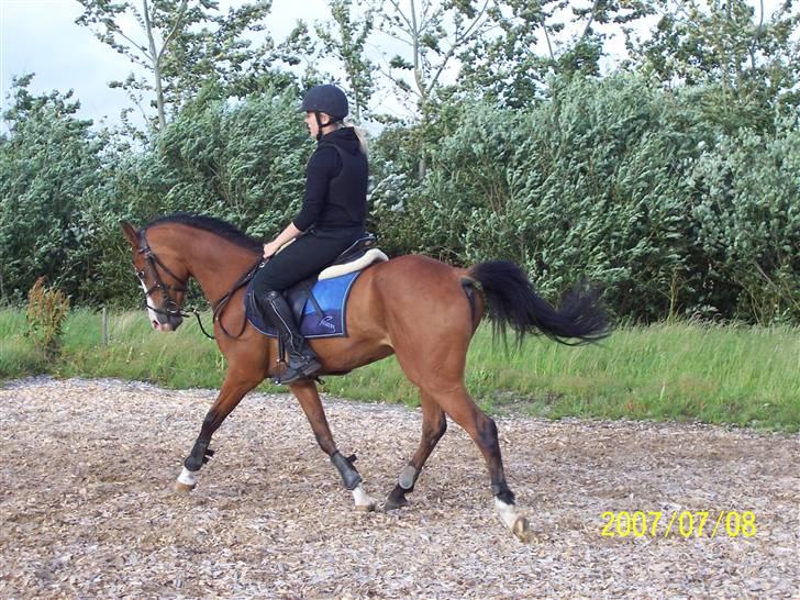 Anden særlig race (¯`v´¯)MONIQUE solgt :'( billede 6